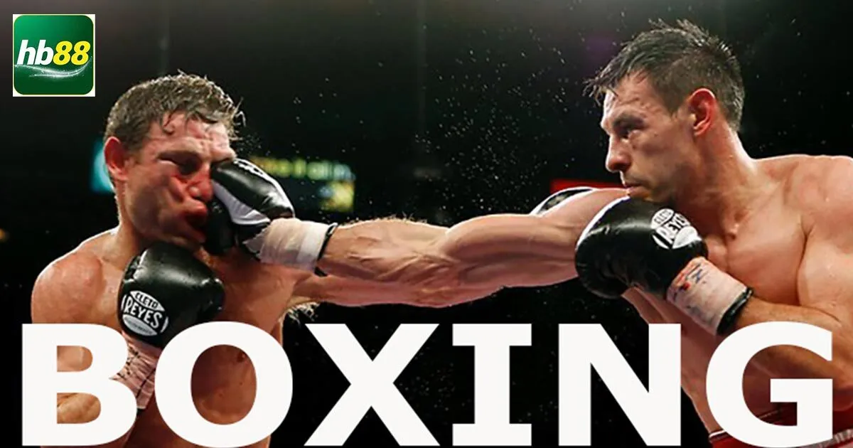 Đôi nét về cá cược boxing online?